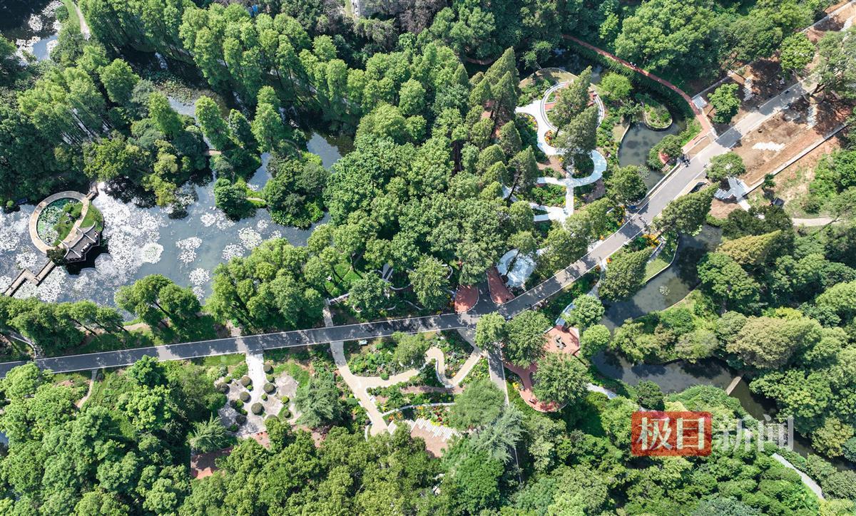 手机麻将胡牌技巧